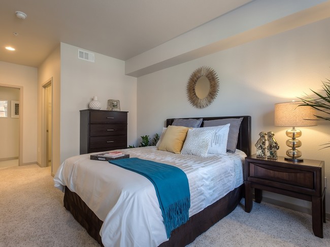 121 Tasman apartments — community photo