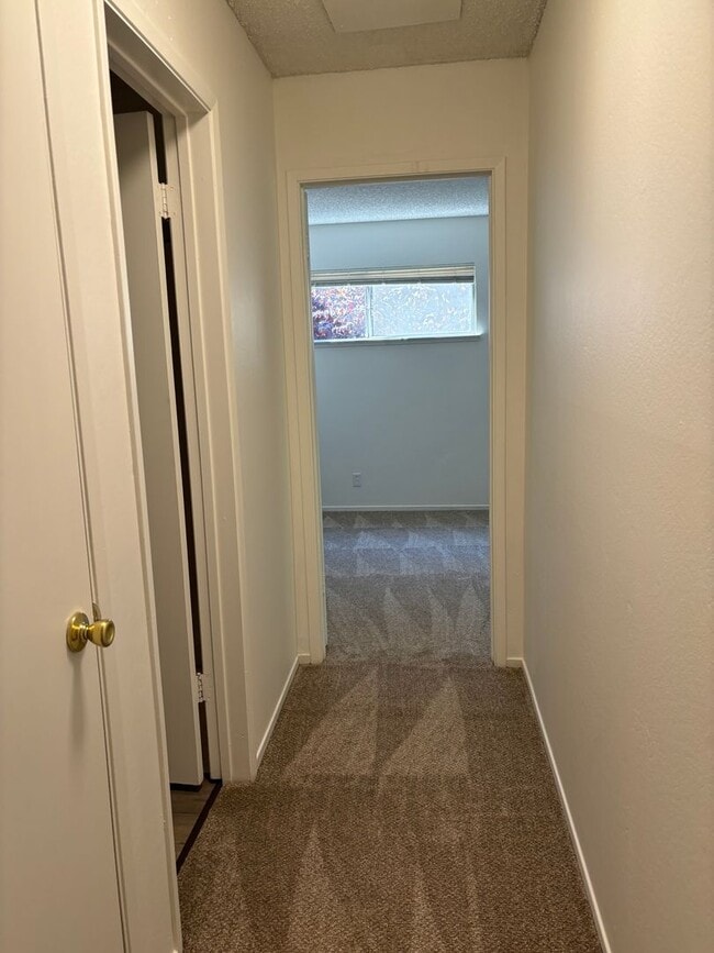 Photo - 2035 Mount Olive Dr