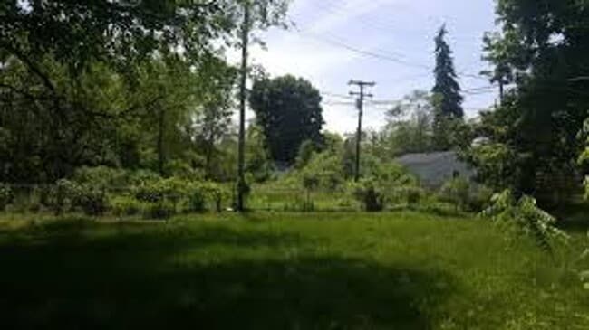 Photo - Three Bedroom One Bathroom House