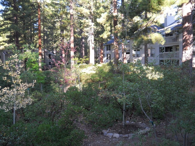 Photo - 171 Village Blvd