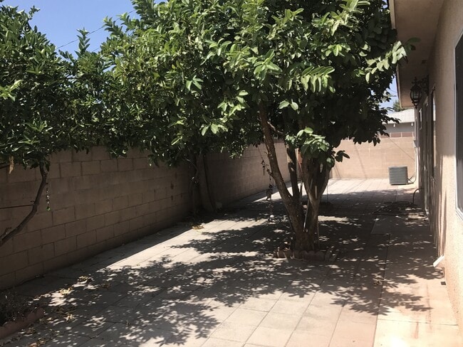 Photo - APT FRANCISQUITO Unit 15728