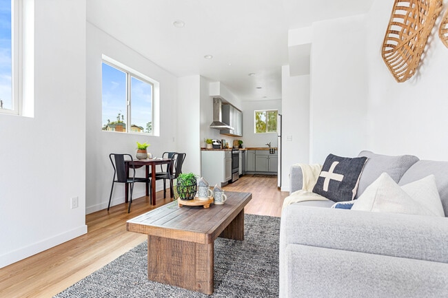 Photo - 2023 Salam Lp