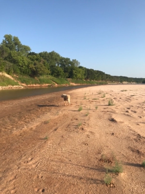 Building Photo - 4411 County Rd 127