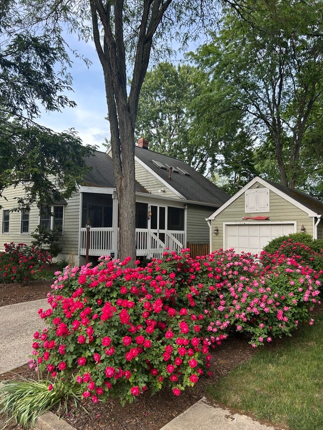 Landscaped with roses and hydrangea - 1111 Van Buren St