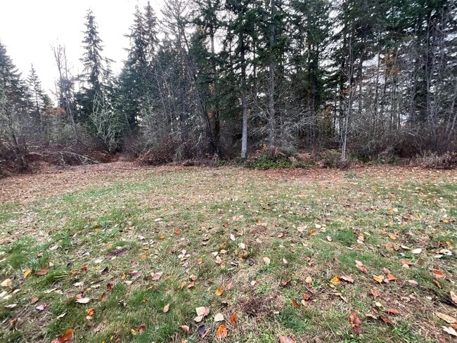 Photo - 5 Bedroom Home on 5 Acres!