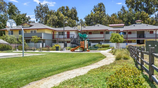 Expansive community amenities including basketball and BBQ picnic seating