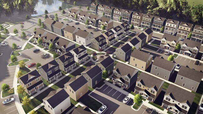 Photo - Ivory on Long Creek