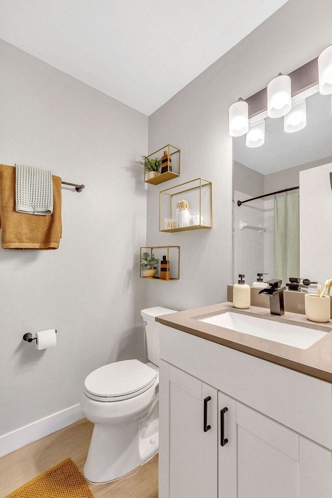 Albion on Northwest Apartments Palatine, IL