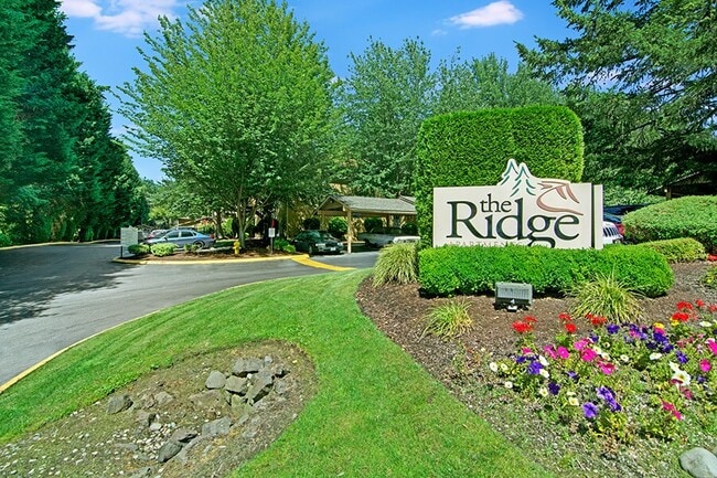 Ridge & Shores