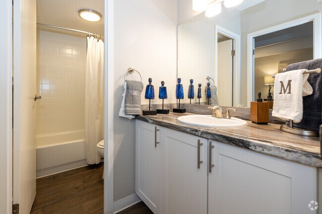 1BR, 1BA - 706SF - Bathroom