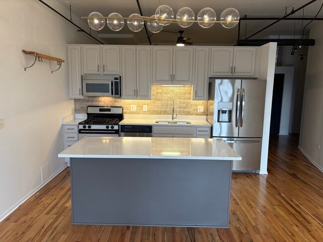 Freshly remodeled with stainless steel appliances - 6 S Laflin St Unit 507L