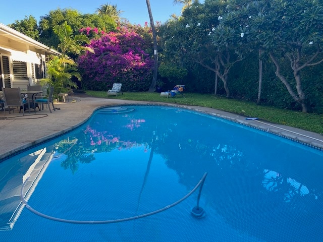 Gran piscina en forma de riñón - 55 Hale Noho Way