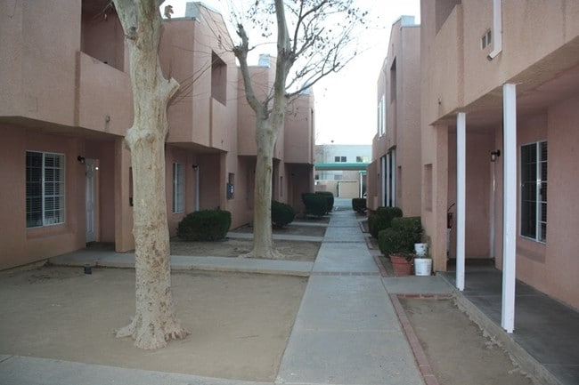 Photo - Desert Oasis