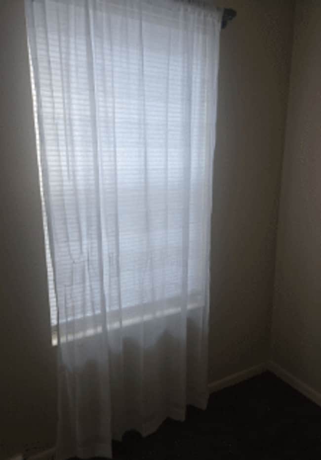 Photo - 442 S 18th St Unit 1