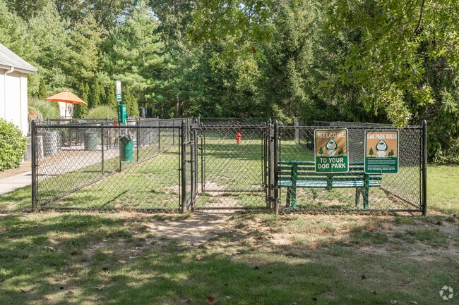 Dog Park