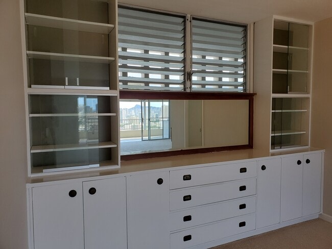 Built in Cabinet - 999 Wilder Ave Unit 803