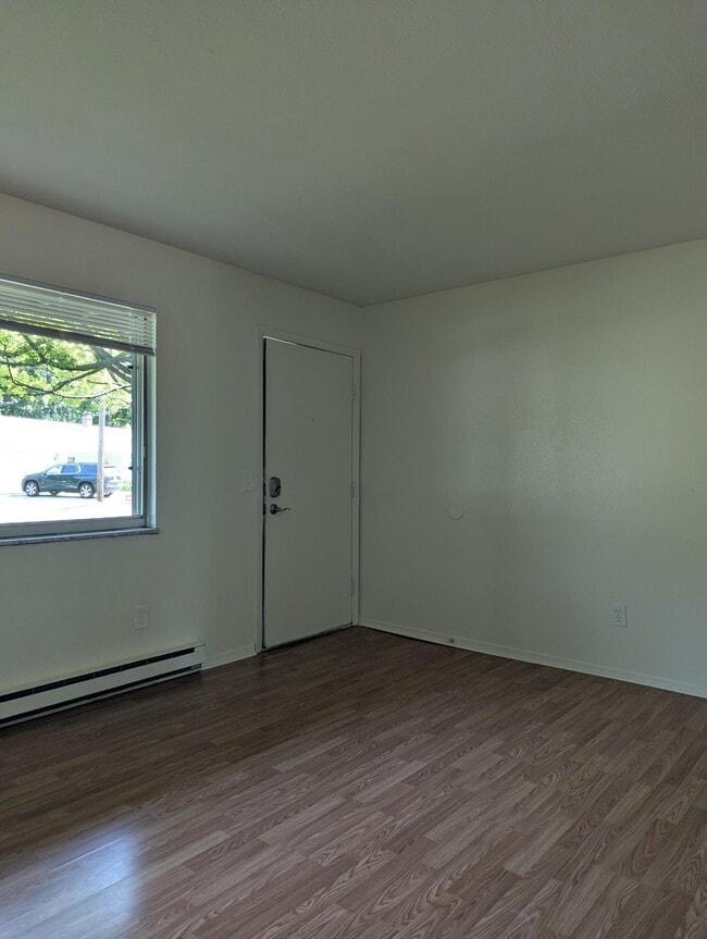 Photo - Violet Trace