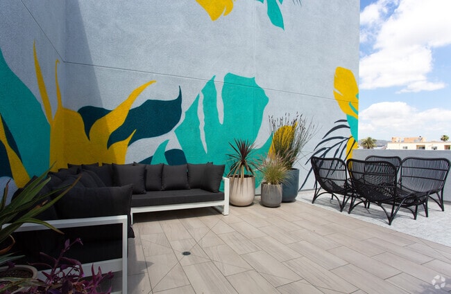 Sun Deck