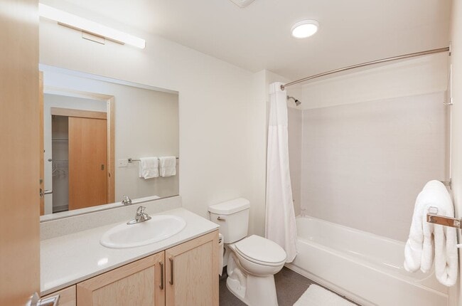 Studio Apartment Sleek Bathroom