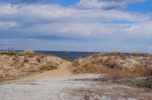 Photo - 732-734 W Ocean View Ave