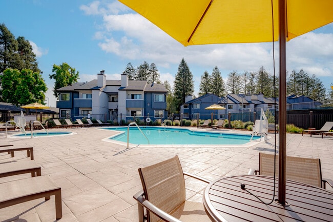 Main Pool / Spa