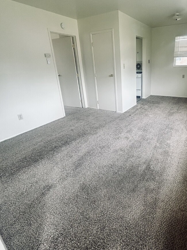 1-Bedroom in Midland's Heart of the City $... - 1-Bedroom in Midland's Heart of the City $... Apartment Unit 1