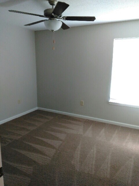 Ivy Pointe Apartments