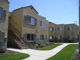 Photo - The Camellias