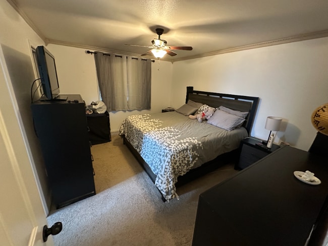 Photo - 620 Teton Dr