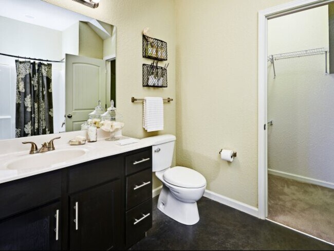baño, conjunto de color negro - Cobalt Row
