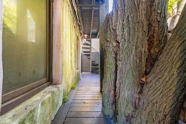 Photo - 33 Cannon St