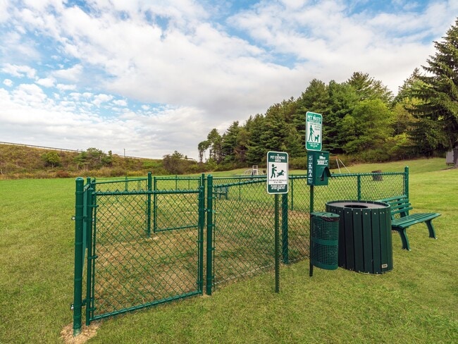 Off Leash Dog Park