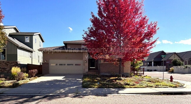 Building Photo - 900 Treece St