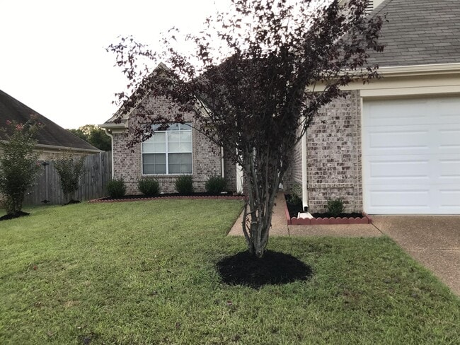 Photo - 1117 E Cortona Cir