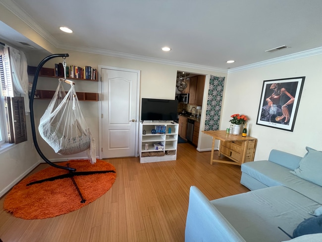 Comfy hammock chair and couch pulls out into full size sofa bed - 94 Webster St NE Unit #5