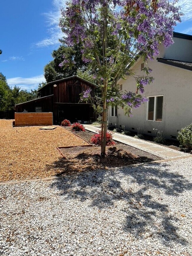 Photo - Spectacular excecutive home, sleek modern remodel, peaceful grounds, with massive pool. Easy acce...