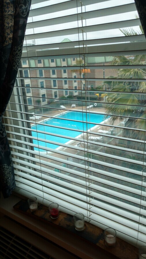 View - 224 E Garden St Apartment Unit 402