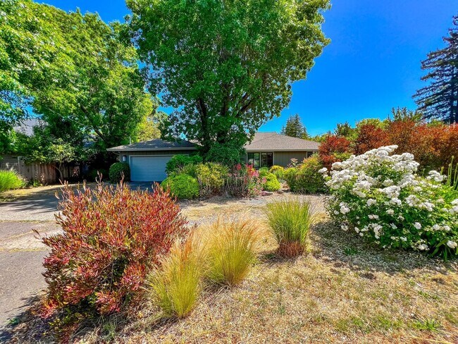 Charming Four Bedroom Home in Napa's Sough... - Charming Four Bedroom Home in Napa's Sough...