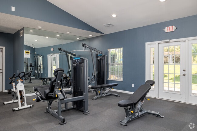 Gimnasio