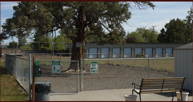 Pet Play Area