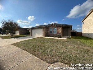 Photo - 25715 Gold Yarrow
