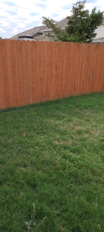 Photo - 176 Housefinch Loop