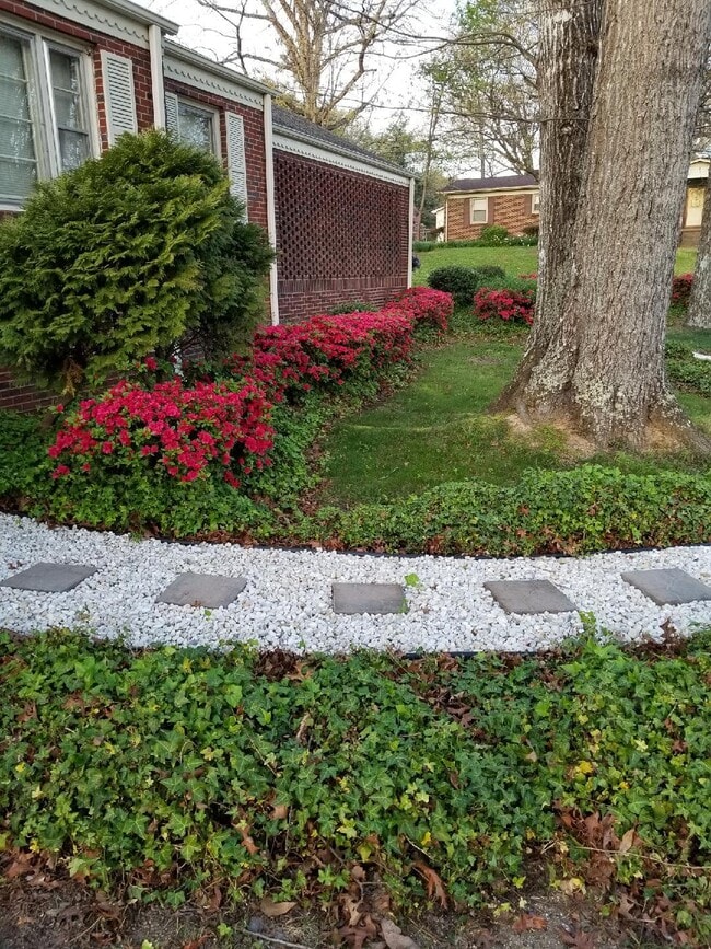 New Walkway