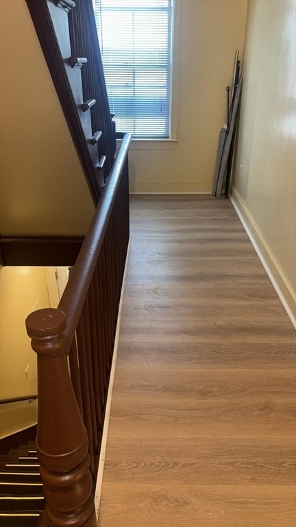 Photo - 24 Newbury St Unidad 2