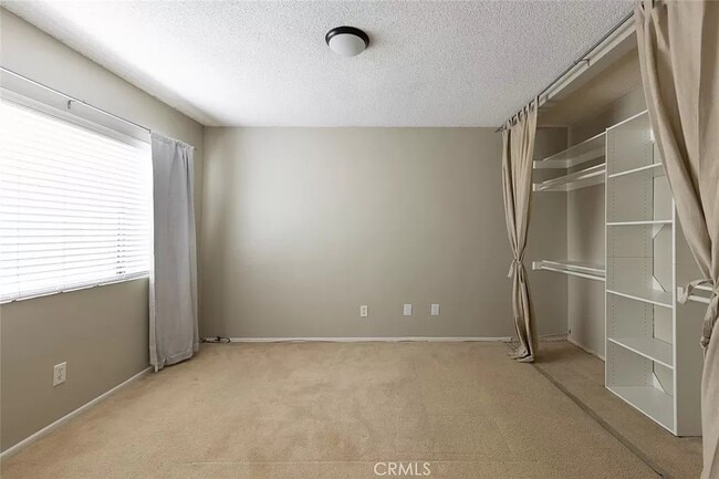 Photo - Shadi Abouseif