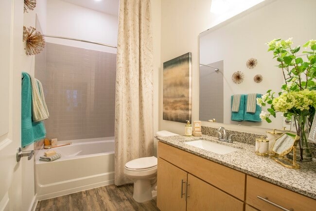 Model - 2BR Pebblebrook Bathroom 2 - James River at Stony Point