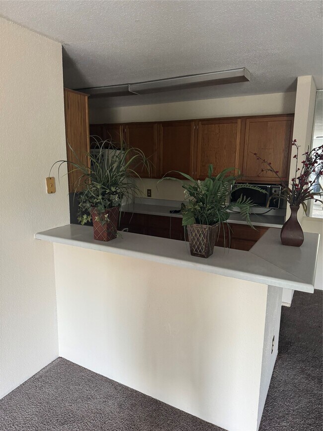 Photo - 10821 Braes Bend Dr