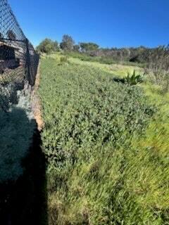 Photo - 266 S Carmel Rd