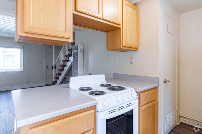 2BR, 1BA - 800SF - Kitchen