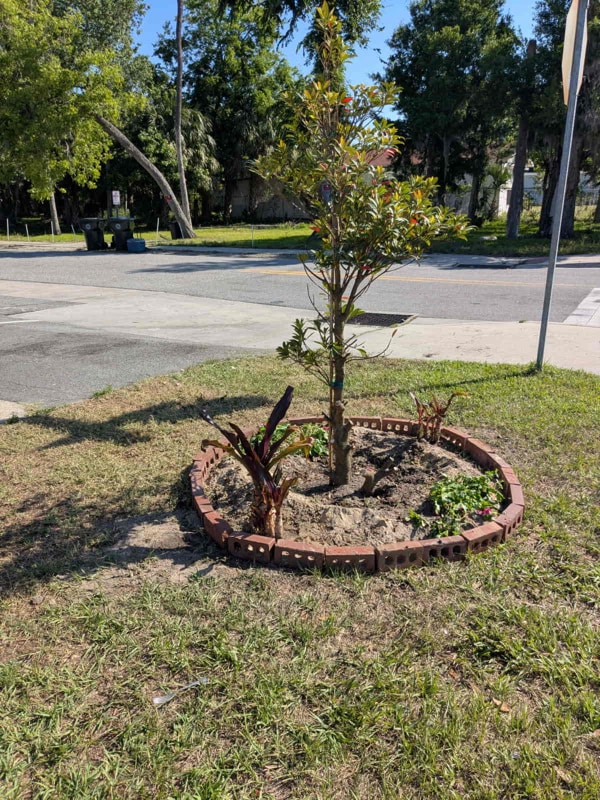 Photo - 716 Orange Ave Unit 716